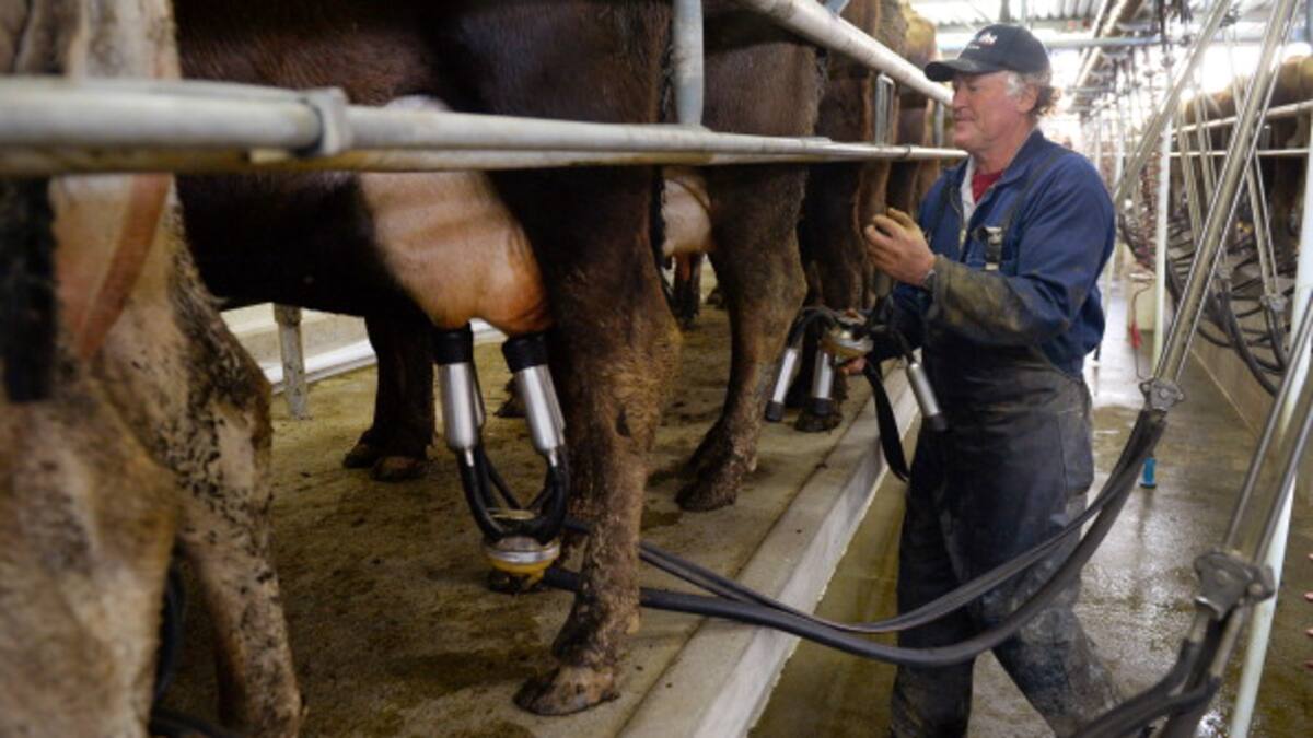 Asb Radar ASB ups dairy price forecast, despite weak Chinese demand | BusinessDesk